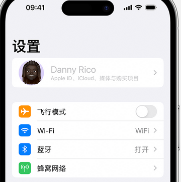 南桥镇appleID维修服务iPhone设置中Apple ID显示为灰色无法使用 