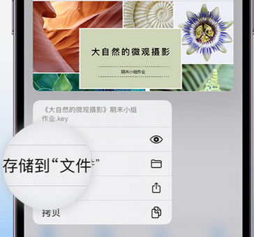 南桥镇apple维修中心分享iPhone文件应用中存储和找到下载文件