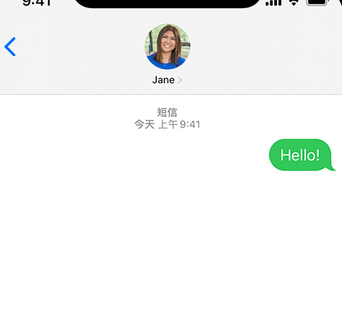 南桥镇apple维修iPhone上无法正常发送iMessage信息