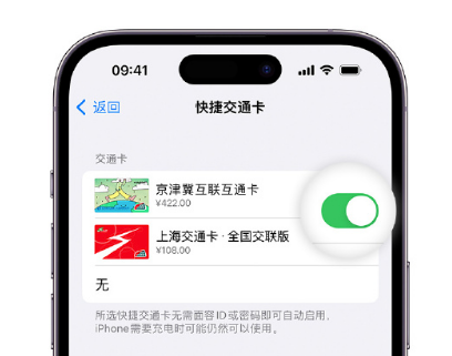 南桥镇apple维修点分享iPhone上更换Apple Pay快捷交通卡手绘卡面 