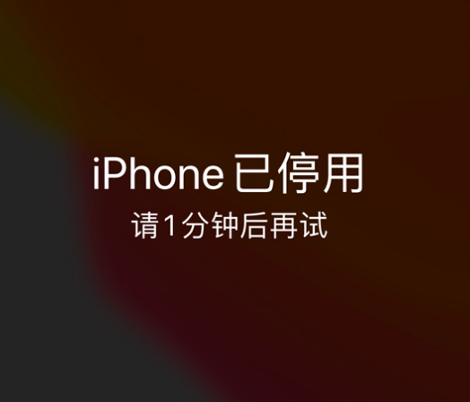 南桥镇苹果手机维修分享:iPhone 显示“不可用”或“已停用”怎么办？还能保留数据吗？ 