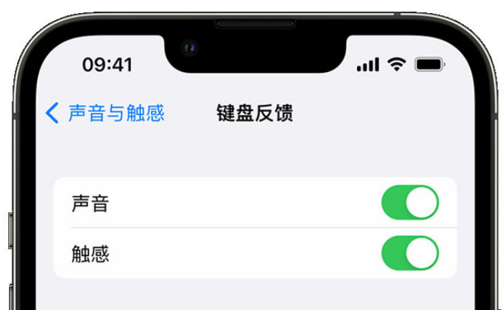 南桥镇苹果手机维修分享iPhone 14触感键盘使用方法 