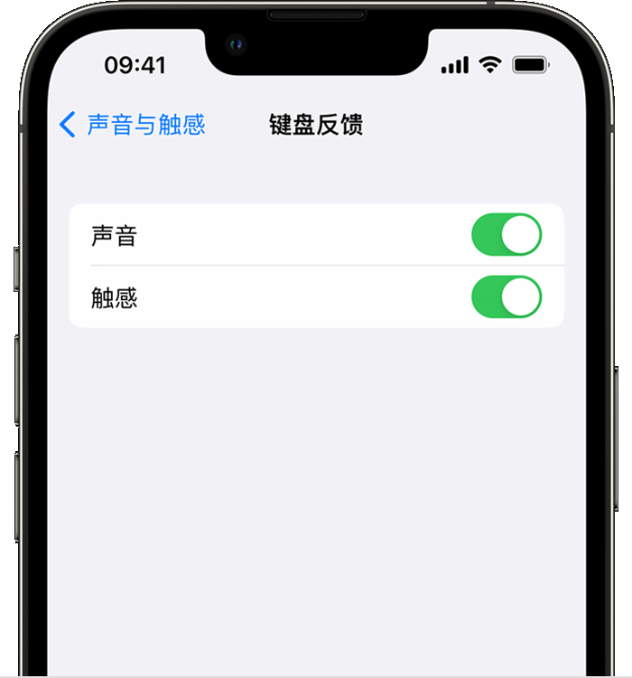 南桥镇苹果14维修店分享如何在 iPhone 14 机型中使用触感键盘 