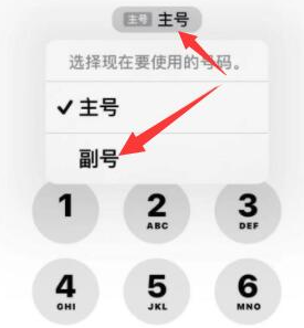 南桥镇苹果14维修店分享iPhone 14 Pro Max使用副卡打电话的方法 