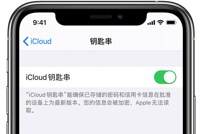 南桥镇苹果手机维修分享在 iPhone 上开启 iCloud 钥匙串之后会储存哪些信息 