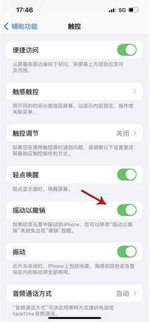 南桥镇苹果手机维修分享iPhone手机如何设置摇一摇删除文字 